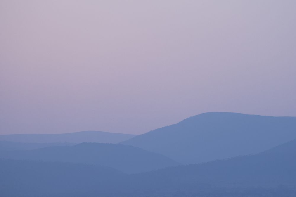 Photograph by Zandri Gillespie