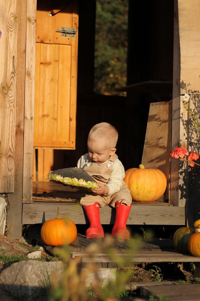 Photograph by Елена Шихалева