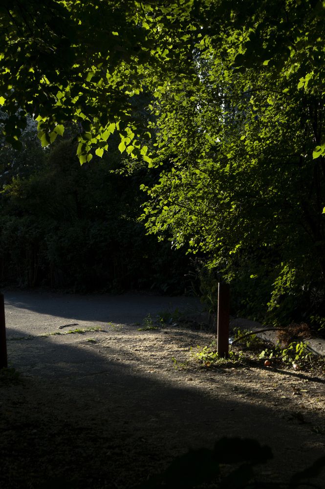 Photograph by Ксения Самойлик