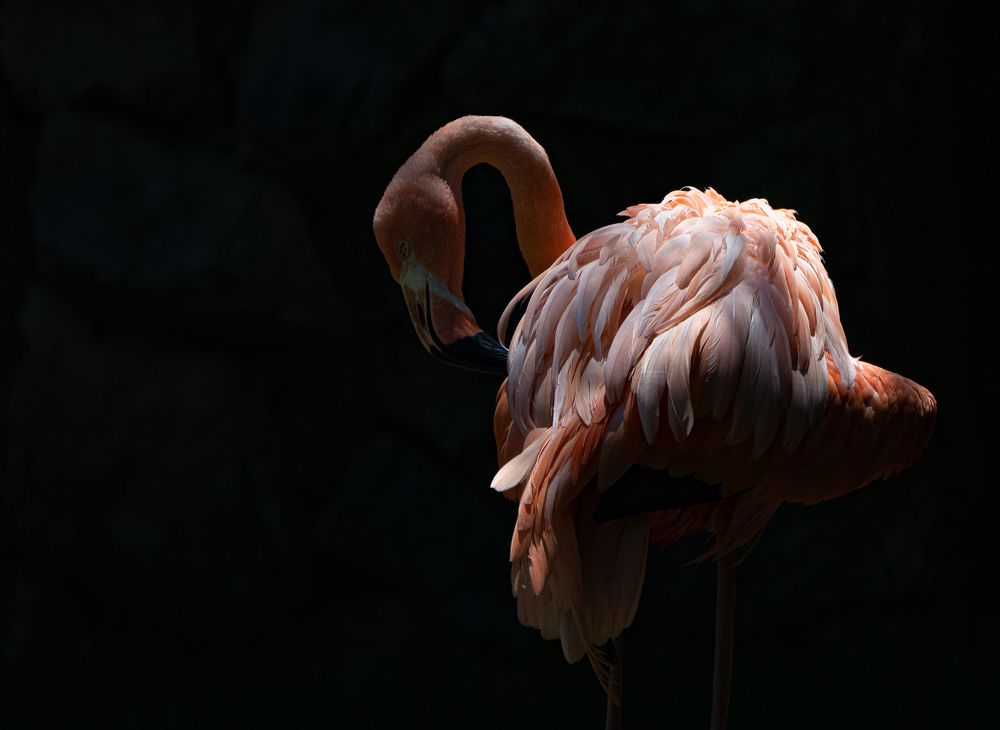 Фотография автора Mohammad Alhadhoud