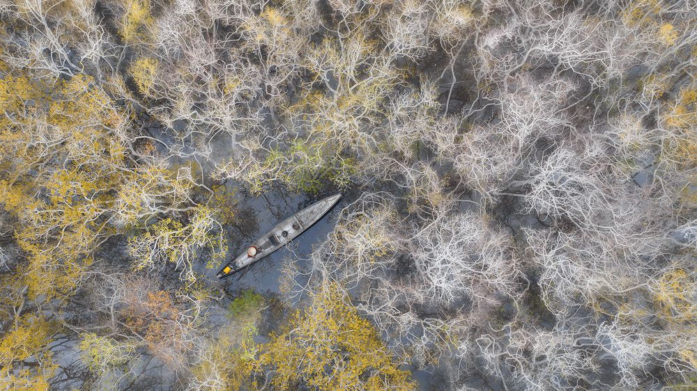 Photograph by NGUYEN HAI