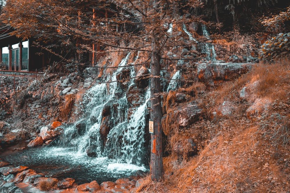 Фотография автора Mohammad Alhadhoud