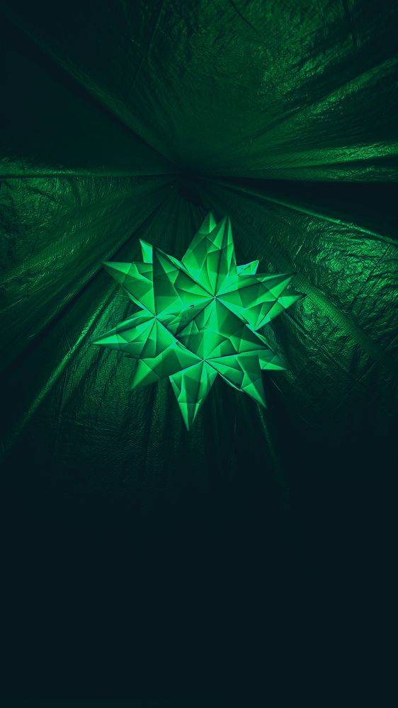 Фотография автора Всеволод