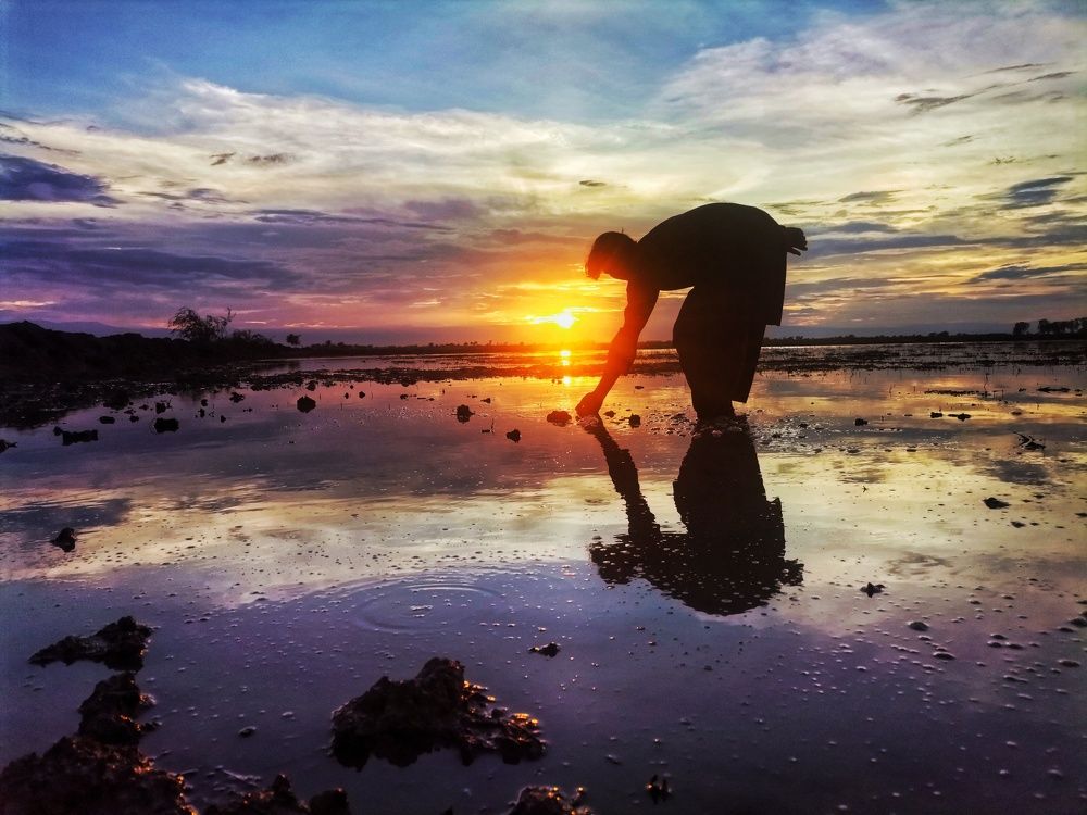 Sunset