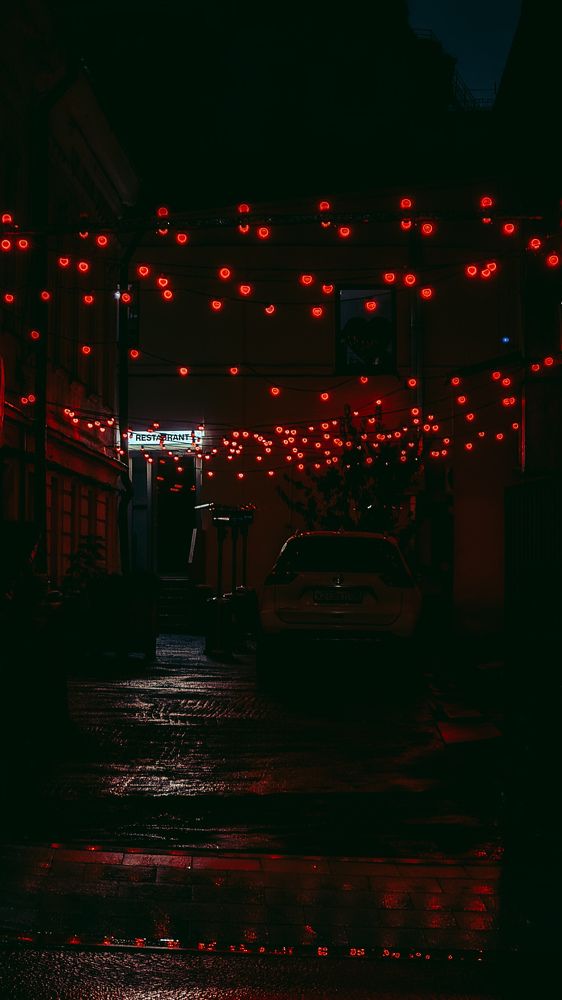 Фотография автора Всеволод