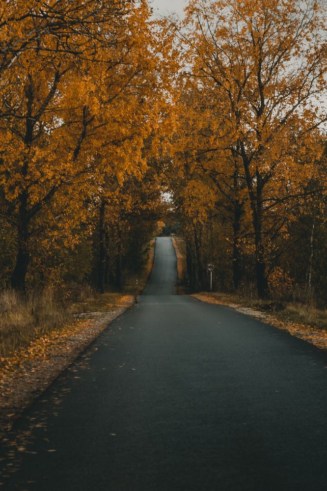 Photograph by Екатерина Фокина