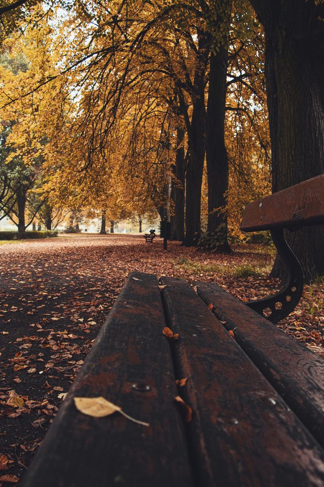 Photograph by Жорнова Светлана