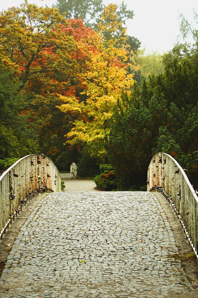 Photograph by Жорнова Светлана