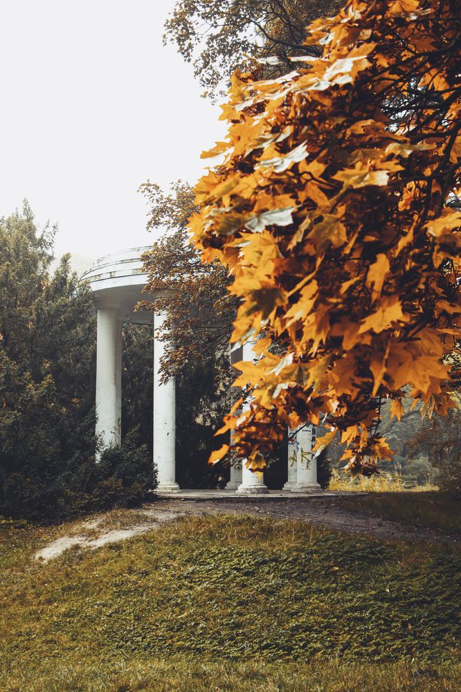 Photograph by Жорнова Светлана