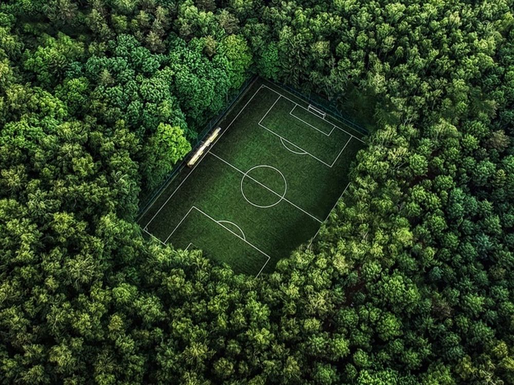 Photograph by Александр Шандов