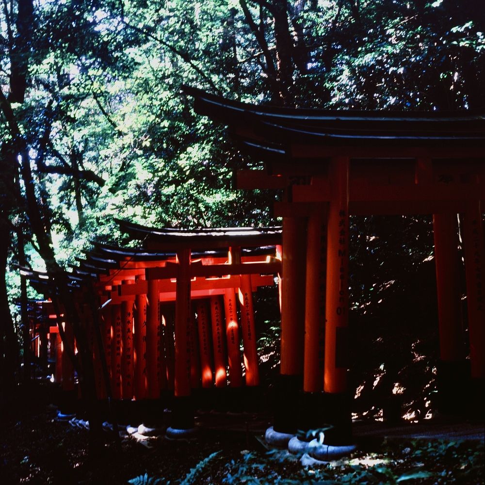 Photograph by Олег Банковский