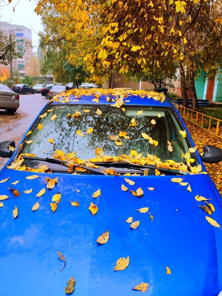 Photograph by Евгений Захаров