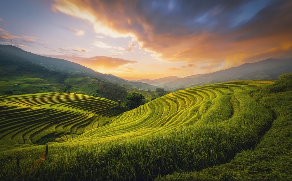 Photograph by Nguyen Ngoc Tuan