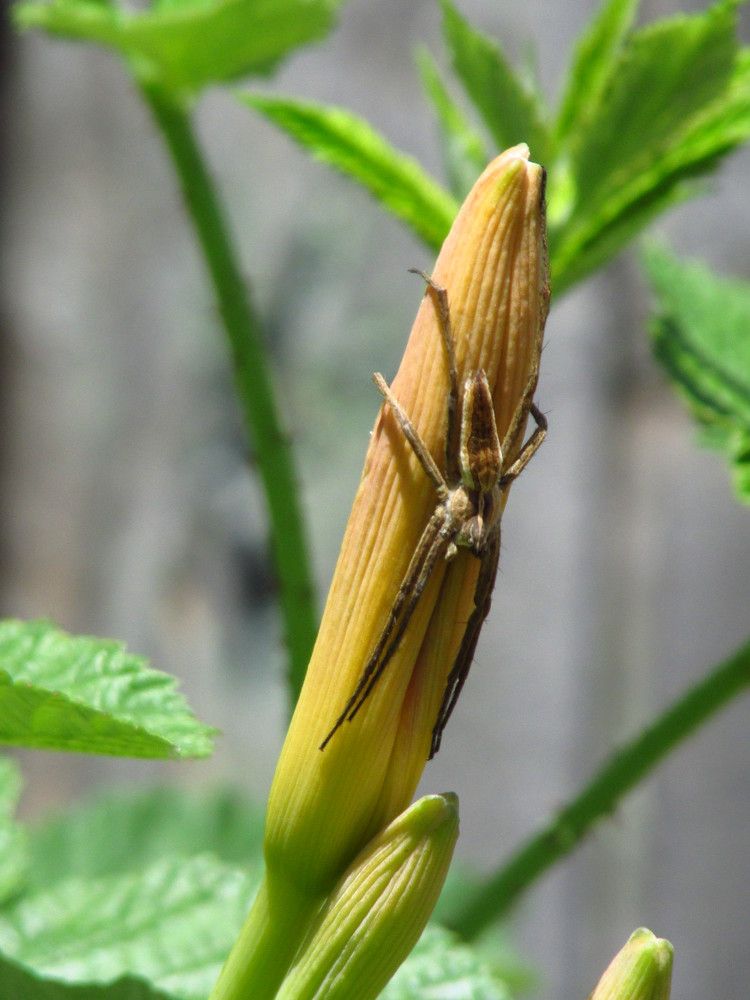 Photograph by Лысых Галина