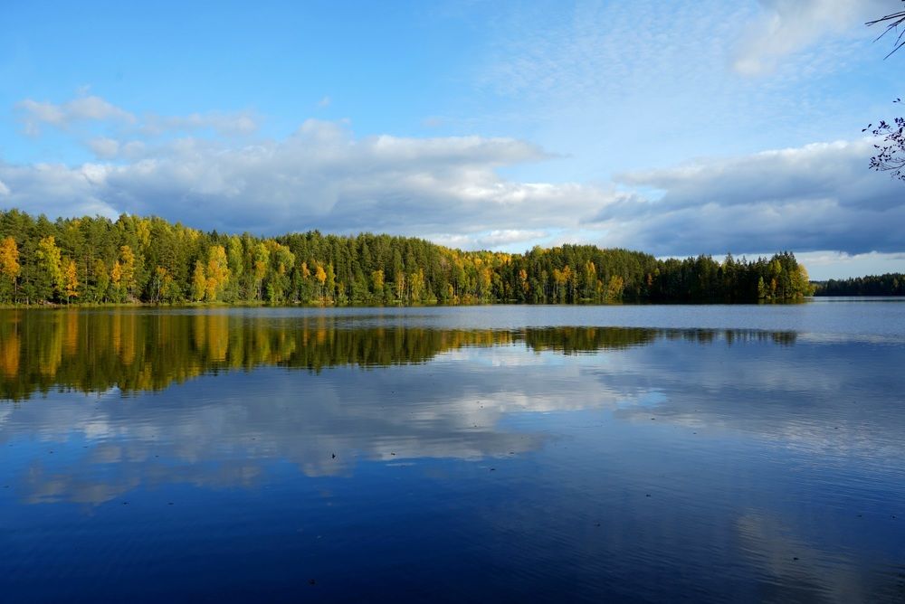 Фотография автора Юлия Овчинникова