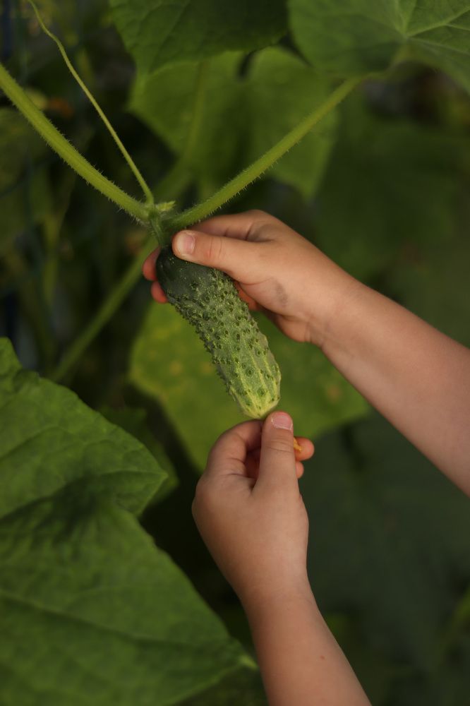 Photograph by Алеся Бобкова