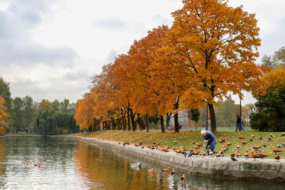 Photograph by Гурский Денис