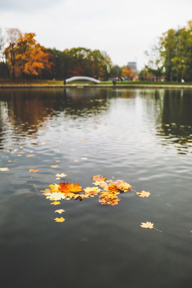 Photograph by Гурский Денис