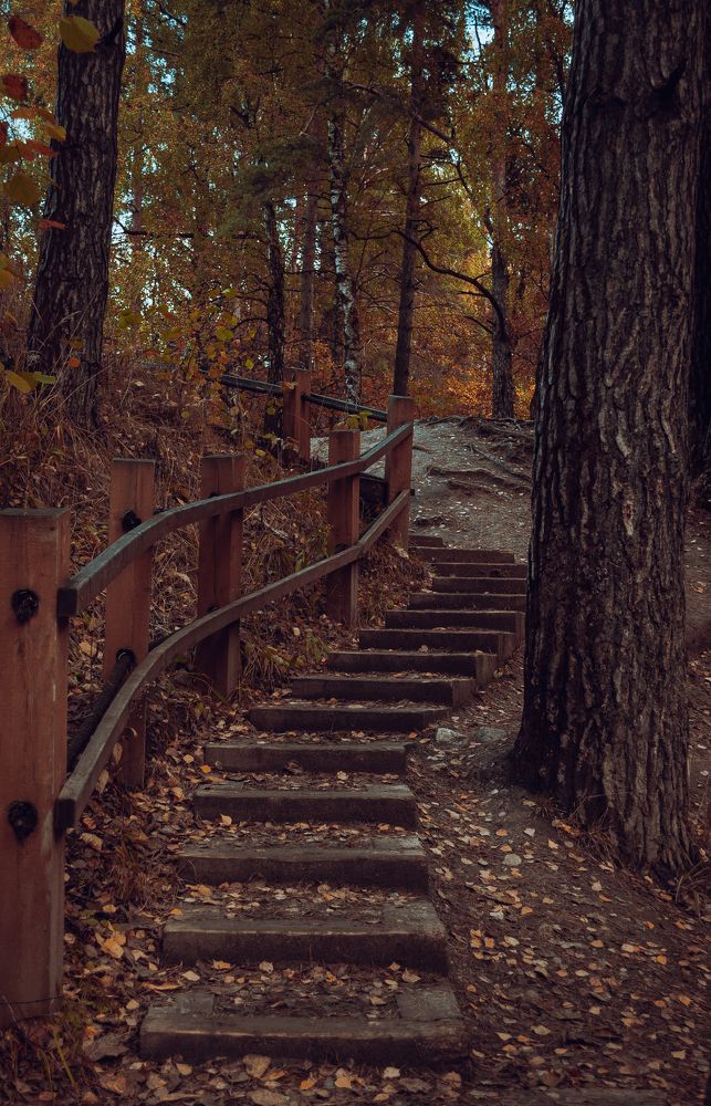 Photograph by Олеся Лагутина