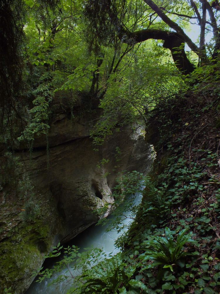 Photograph by Дмитрий Крылов