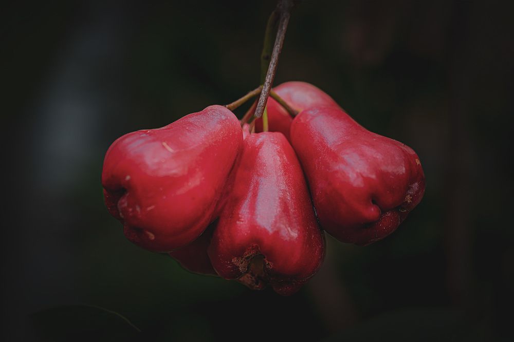 Фотография автора moto ambar