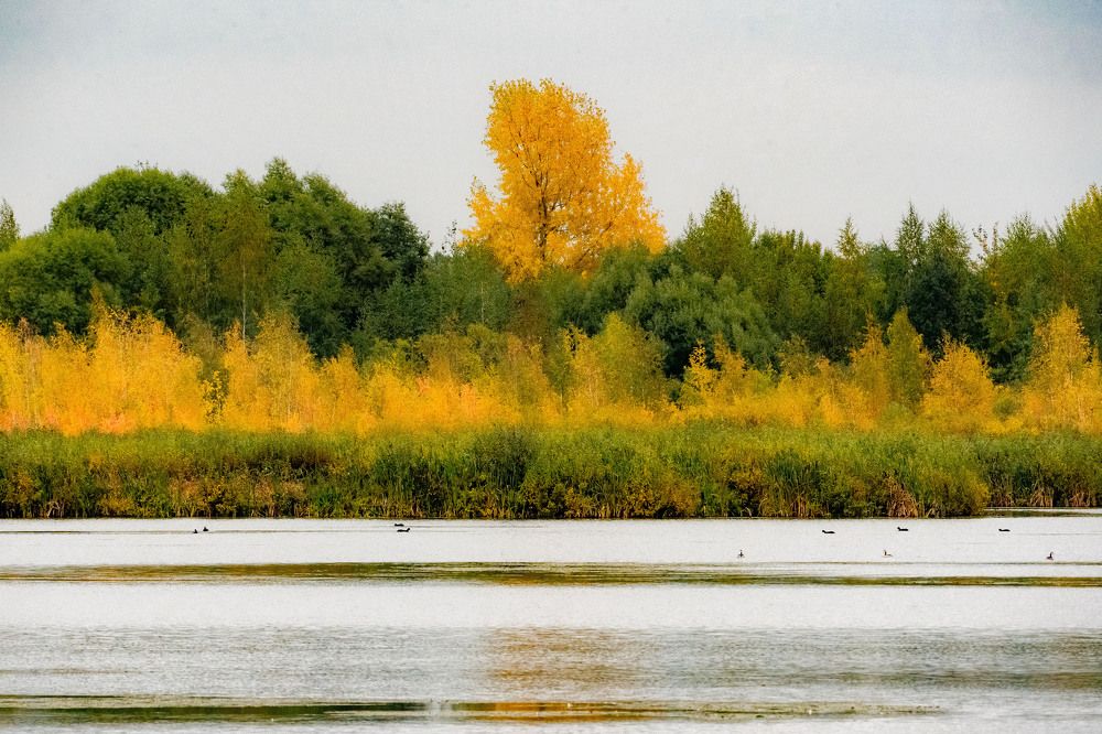 Photograph by Галина Аскольдовна Луковникова