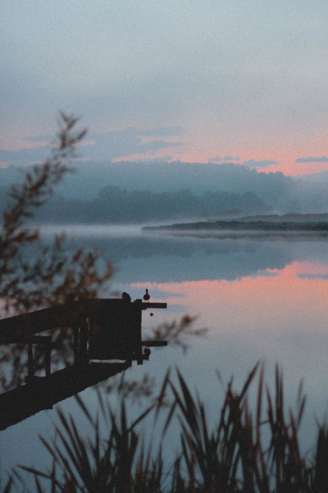 Photograph by Нина Сурнина