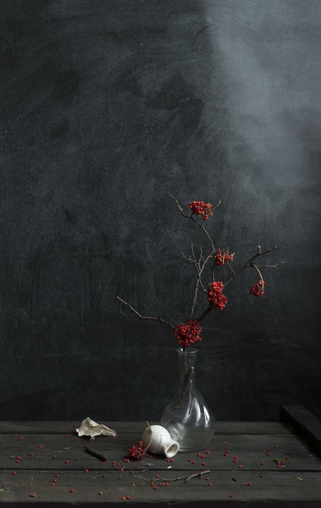 Фотография автора Julia Vikhrova