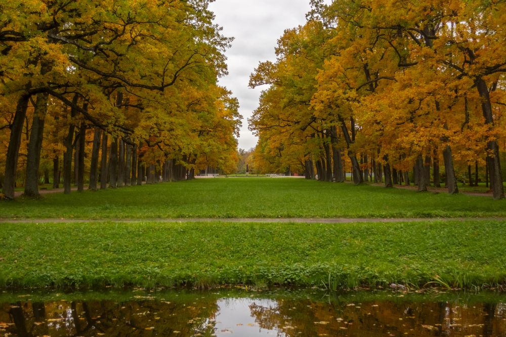 Photograph by Ольга Михайлова
