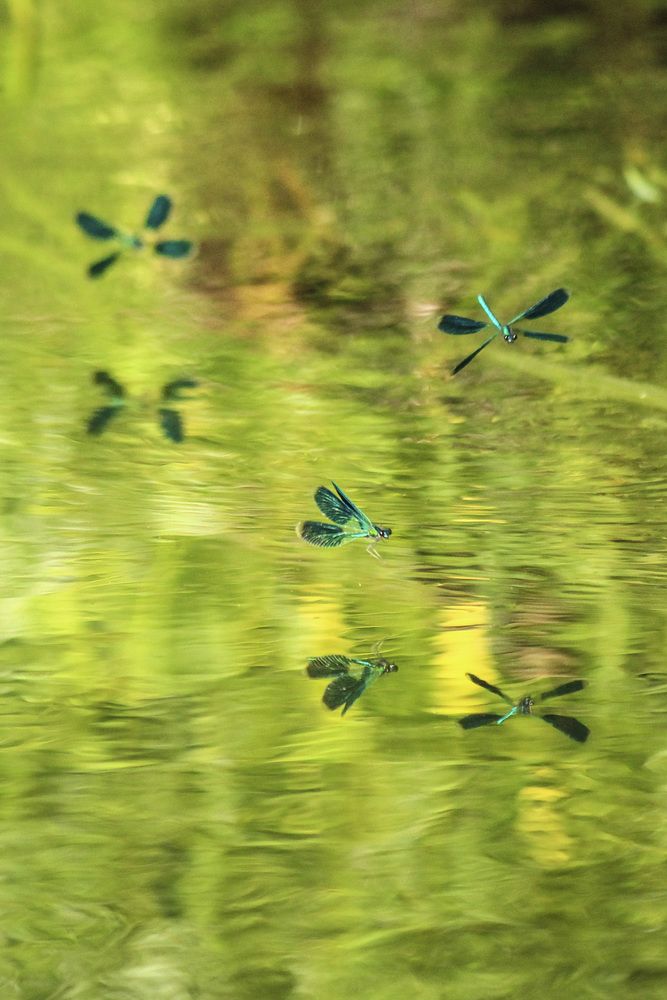 Квадрокоптеры...