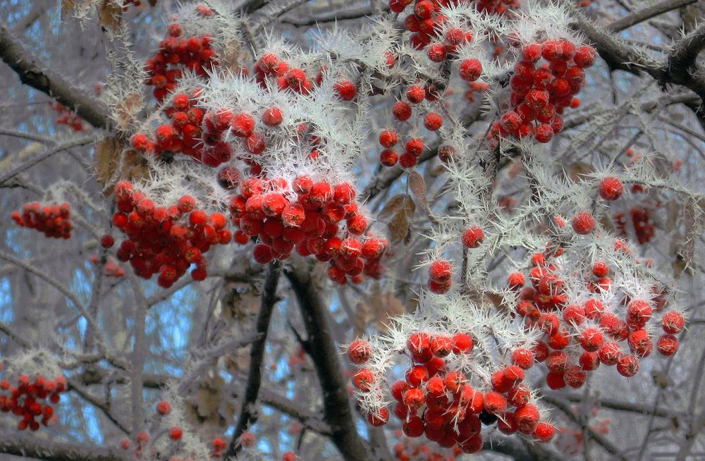 Photograph by Ольга Заболотская