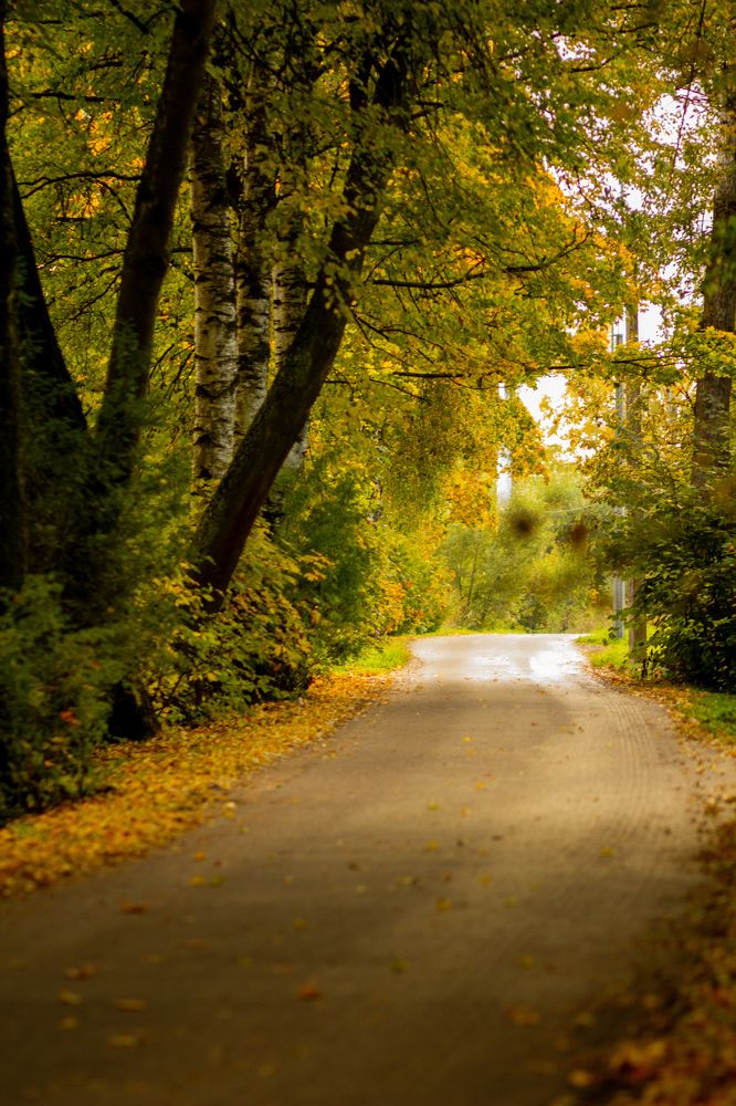 Photograph by NATALYA SOLOVEVA