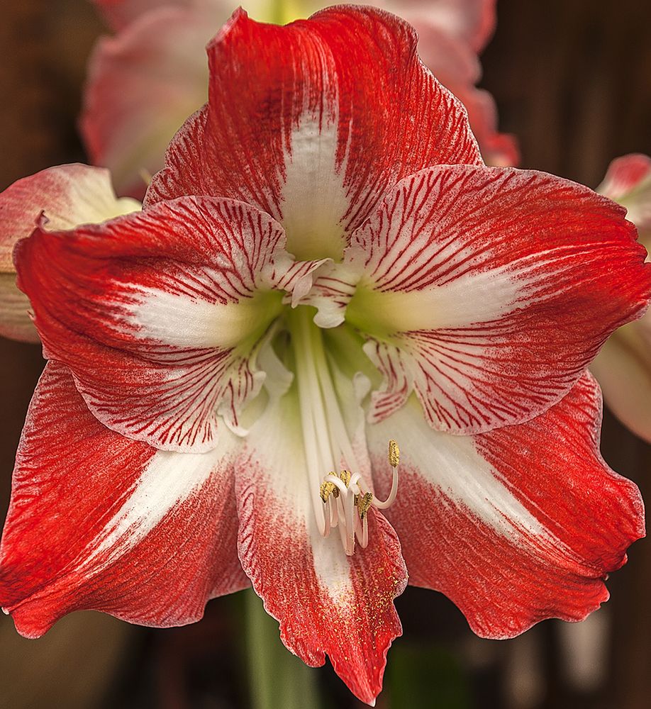 Photograph by Ольга Дядченко