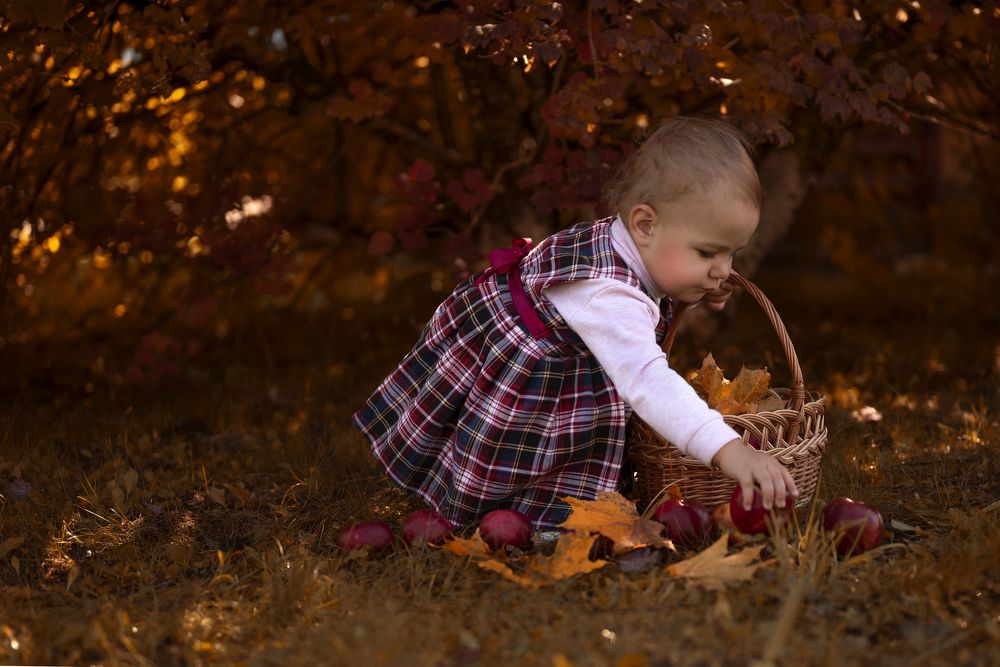 Photograph by Елена