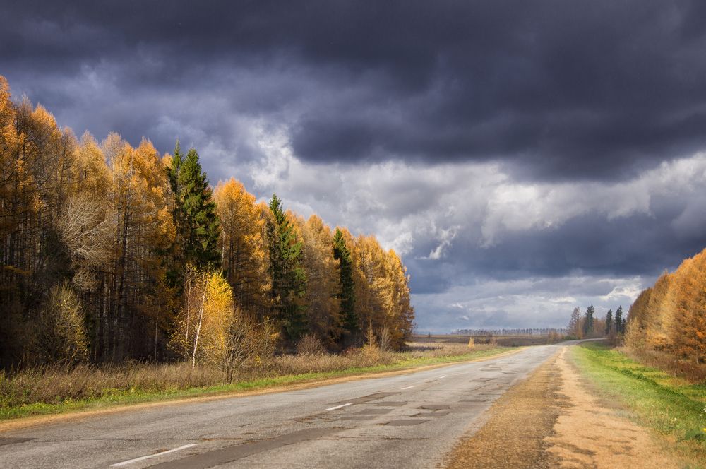 Photograph by Lena Latova