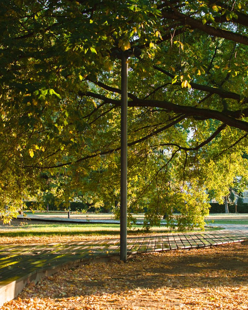 Photograph by Екатерина Себеченко