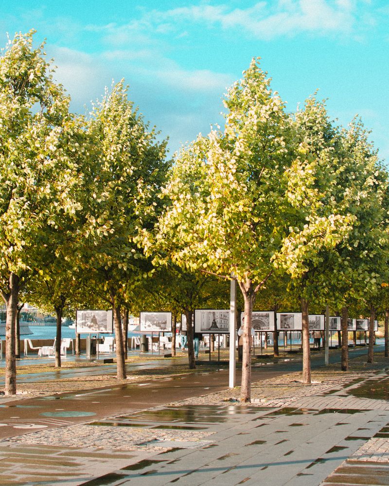 Photograph by Екатерина Себеченко