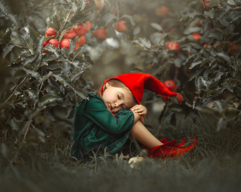 Photograph by Aleksandra Uzdrzychowska