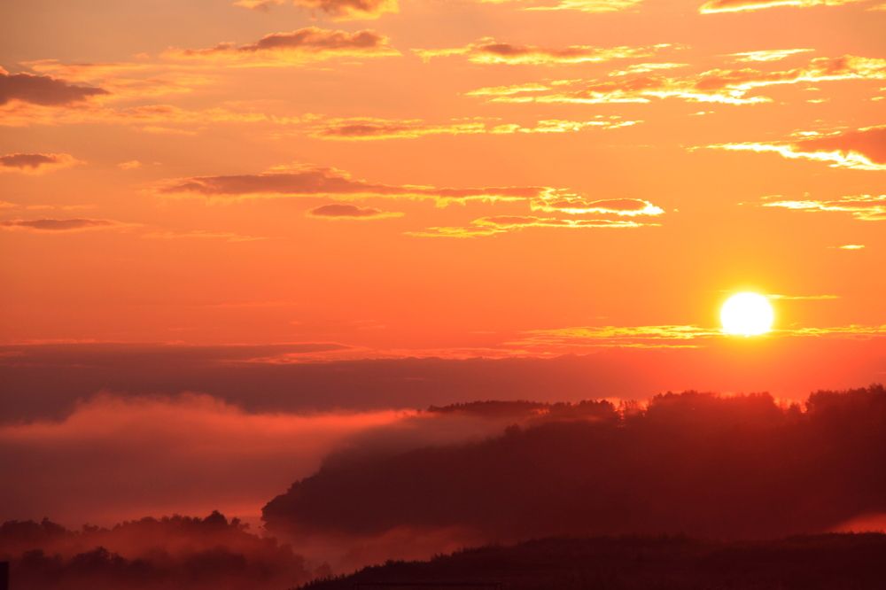 Photograph by Наталья