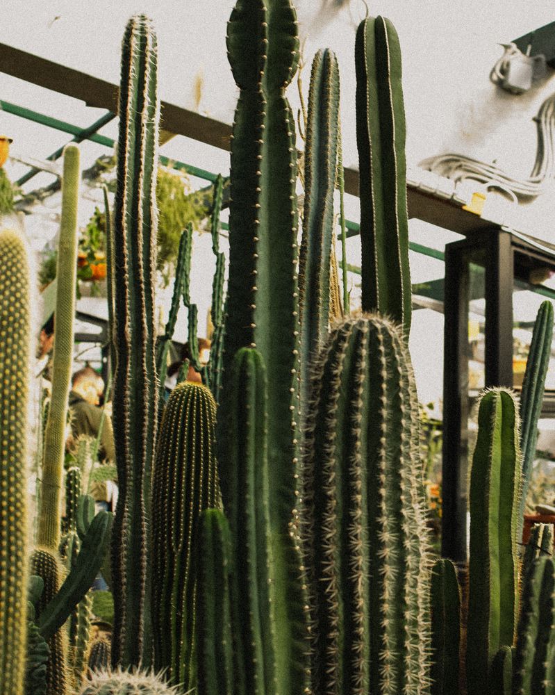 Photograph by Екатерина Себеченко