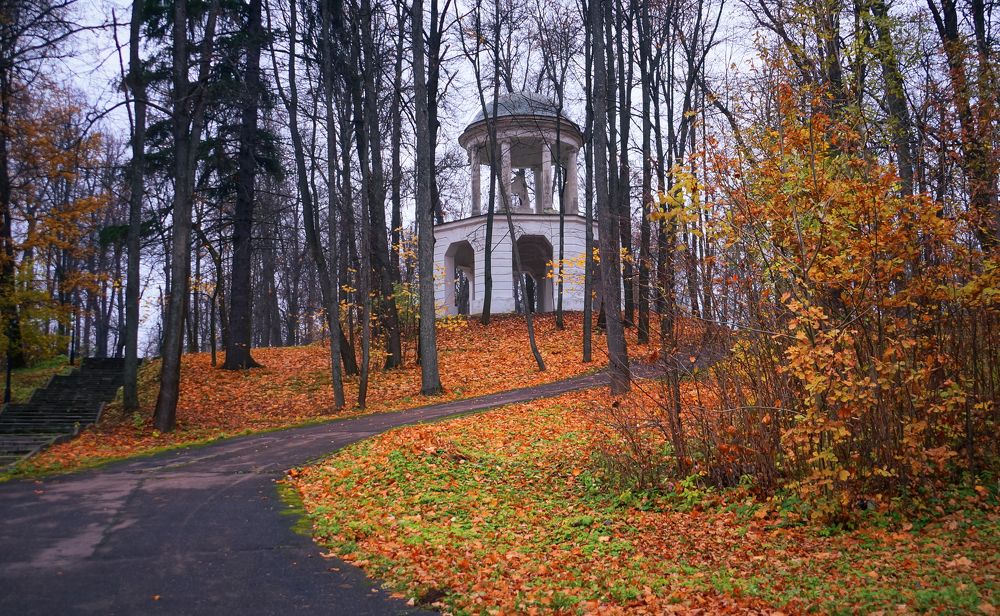 Photograph by Olga Mendosa