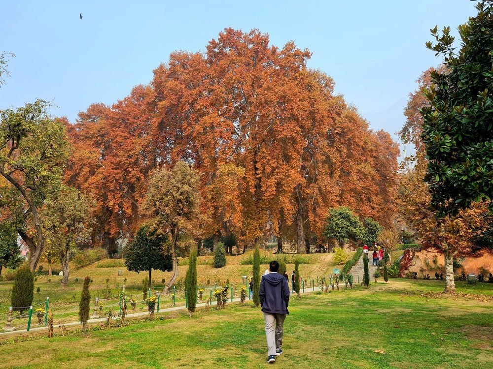 Photograph by Megha Gupta