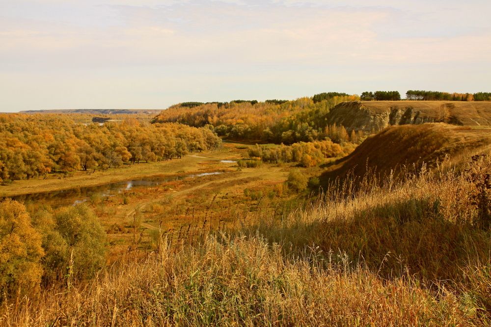 Photograph by Наталья