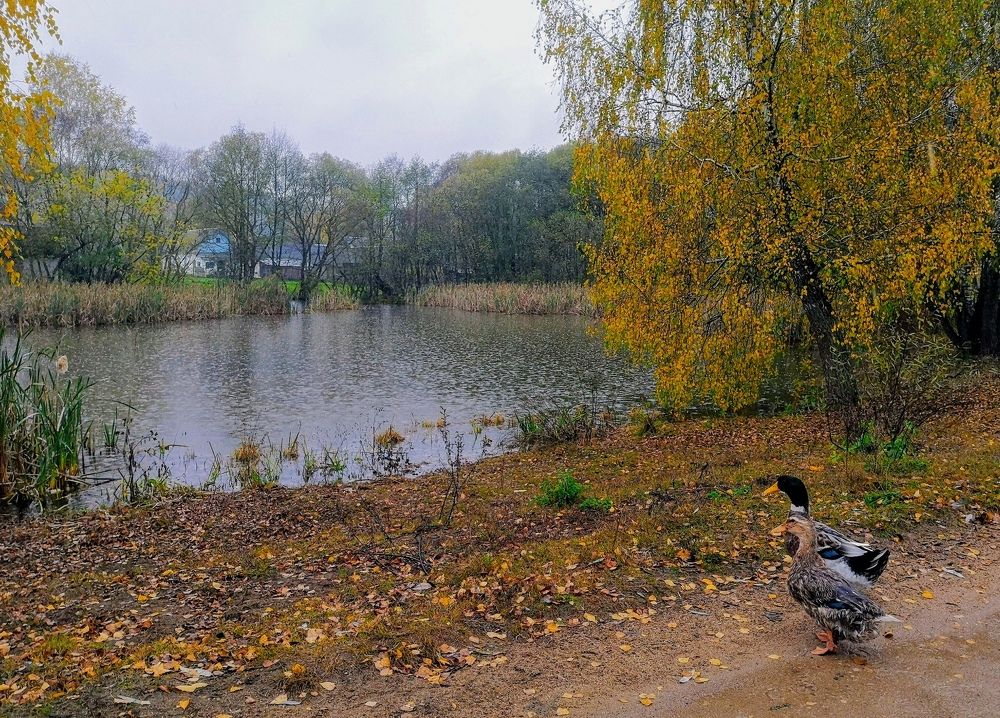 Photograph by Екатерина Борисовна Кузьмина