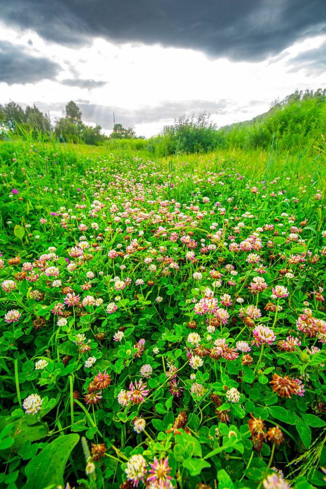 Photograph by Артем Штылев