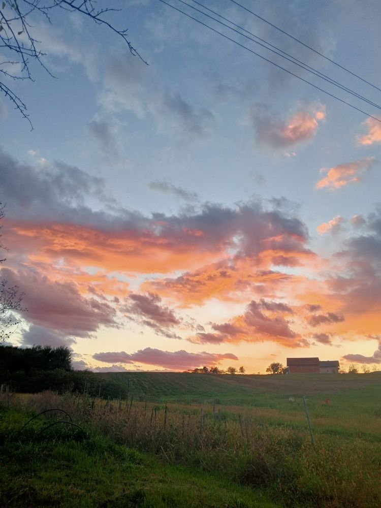 Photograph by Marijana Dragosavljevic