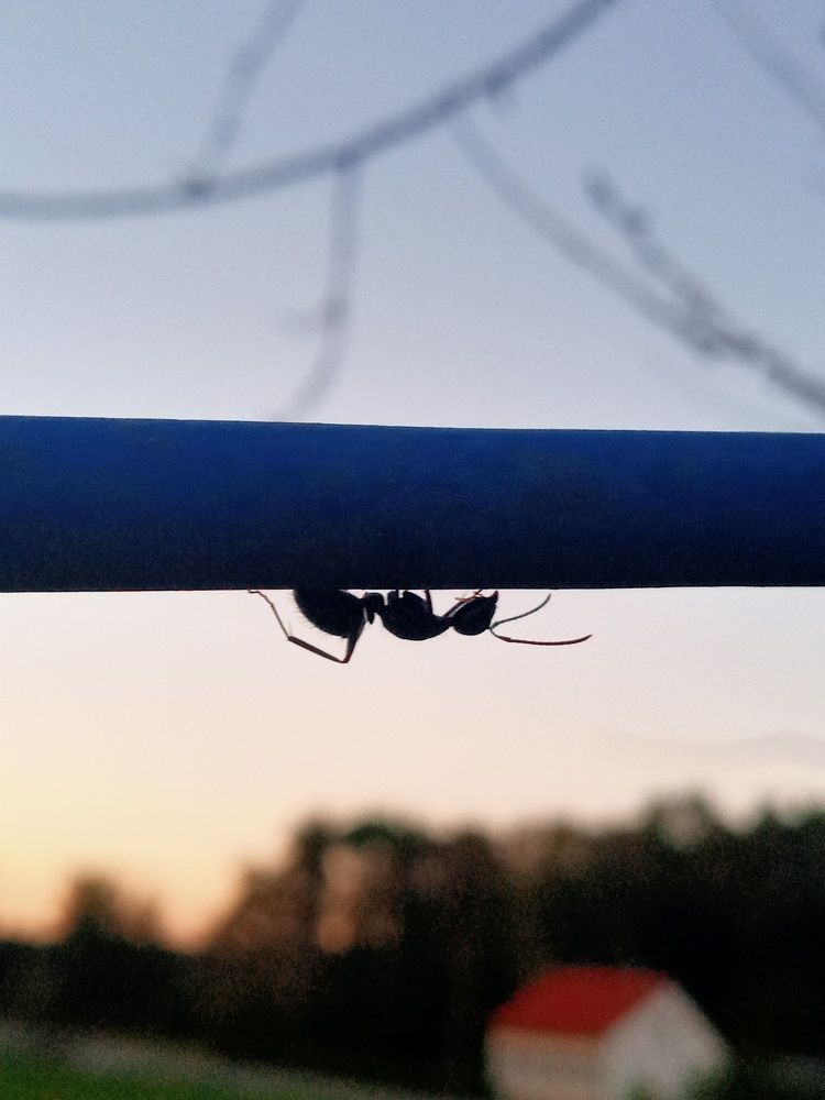 Photograph by Marijana Dragosavljevic