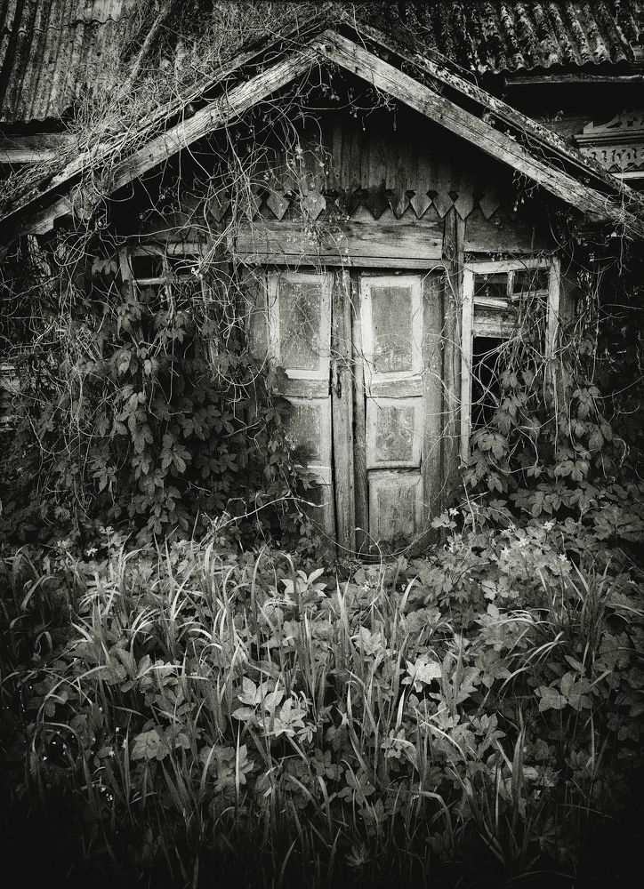 Дверь в прошлую жизнь