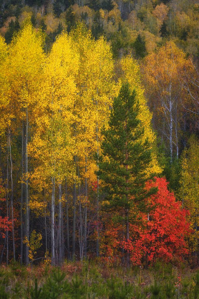 Photograph by Евгений Гецев