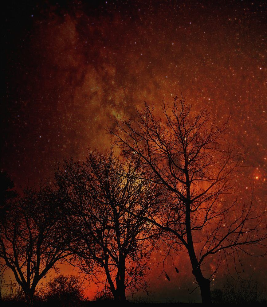 Photograph by Nikolett Mengyi